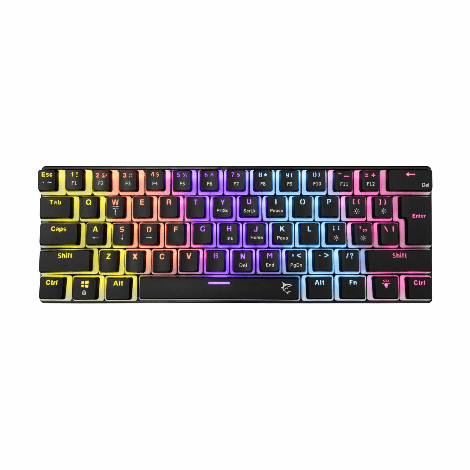 white_shark_tipkovnica_usb_črno|rdeča_mehanska_stikala_us_gk-2202_ashiko-2b_1.jpg